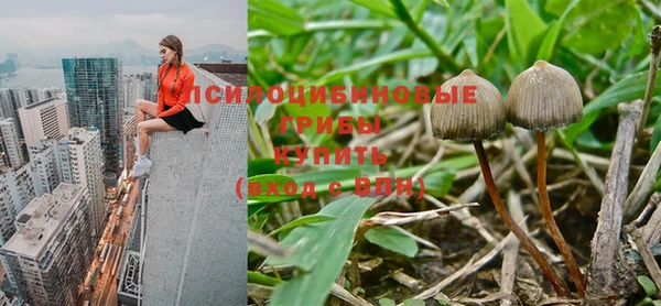 прущая мука Алексин