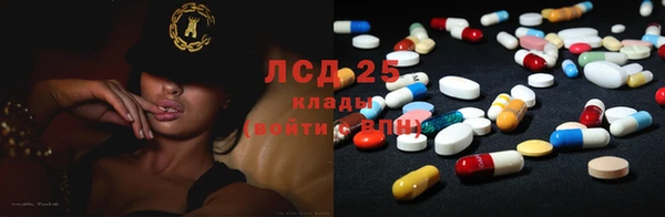 прущие крисы Алзамай