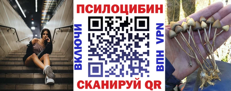 Галлюциногенные грибы мухоморы  блэк спрут ссылка  Лаишево 